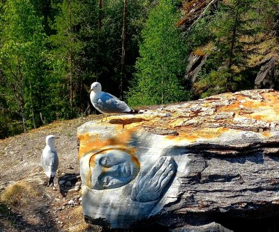 Photo